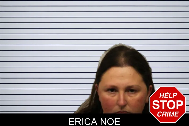 Erica Noe mugshot