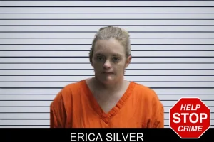 Erica Silver mugshot