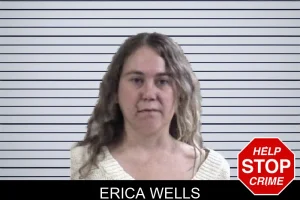 Erica Wells mugshot