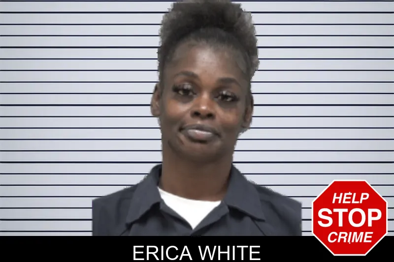 Erica White mugshot – Dougherty County , Georgia Erica White mugshot