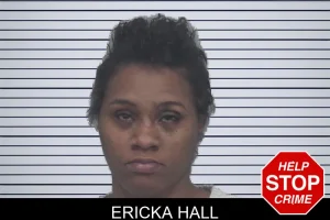 Ericka Hall mugshot