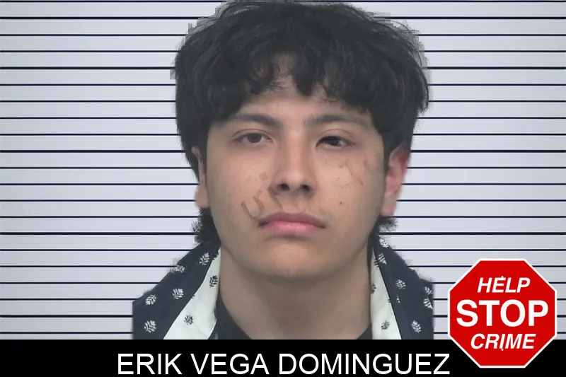 Erik Vega Dominguez mugshot – Gwinnett County , Georgia Erik Vega Dominguez mugshot