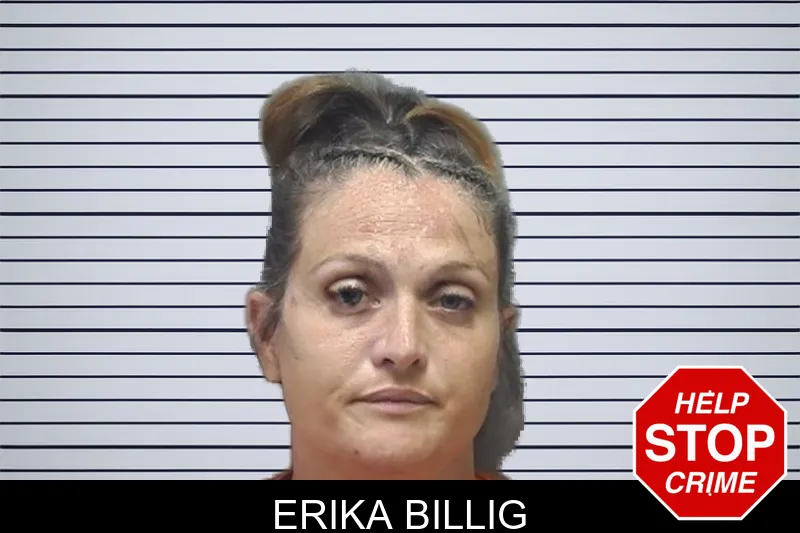Erika Billig mugshot