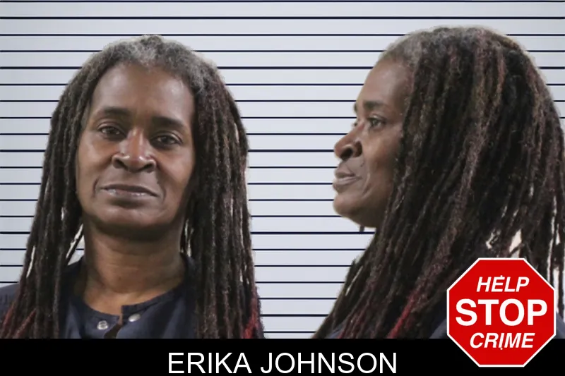 Erika Johnson mugshot