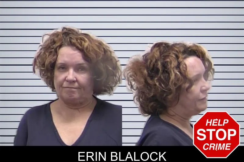 Erin Blalock mugshot