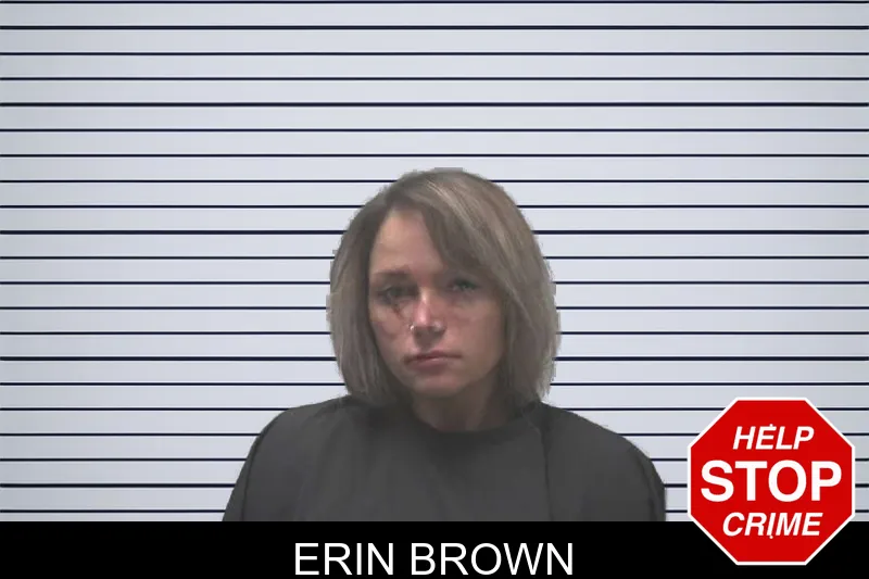 Erin Brown mugshot
