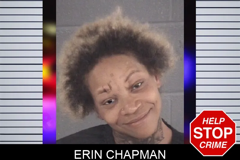 Erin Chapman mugshot