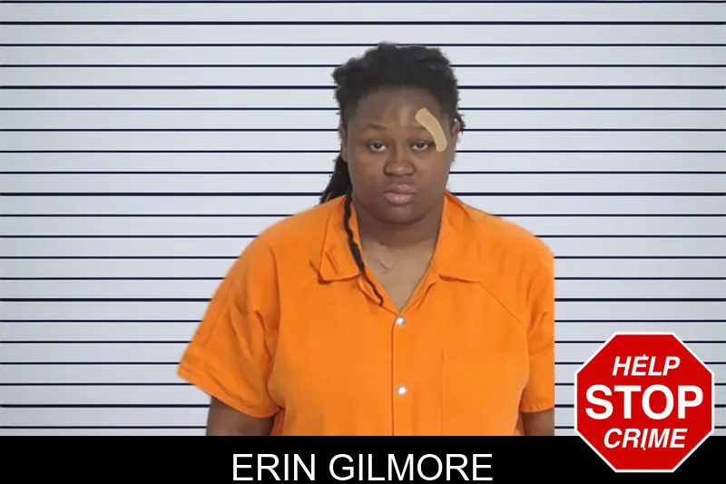 Erin Gilmore mugshot
