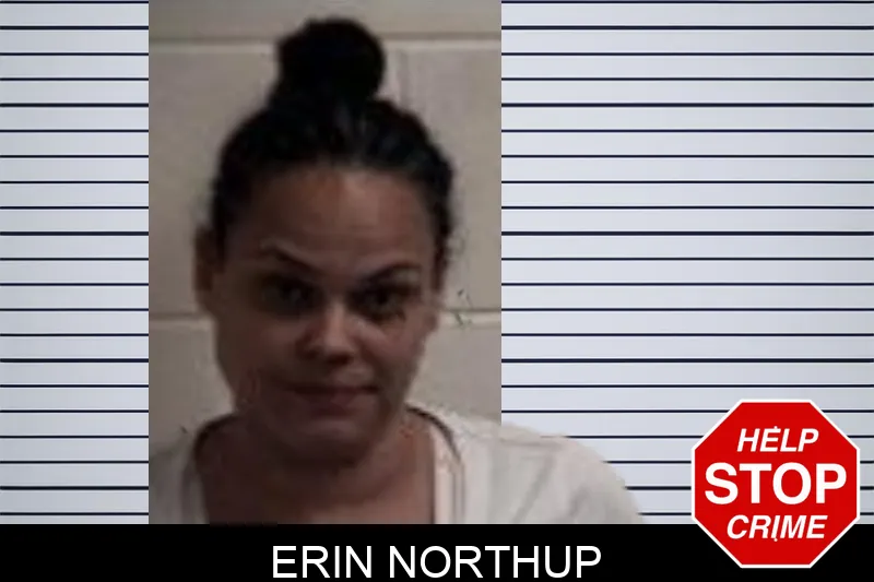 Erin Northup mugshot – Henry County , Georgia Erin Northup mugshot