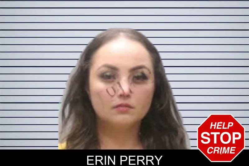 Erin Perry mugshot