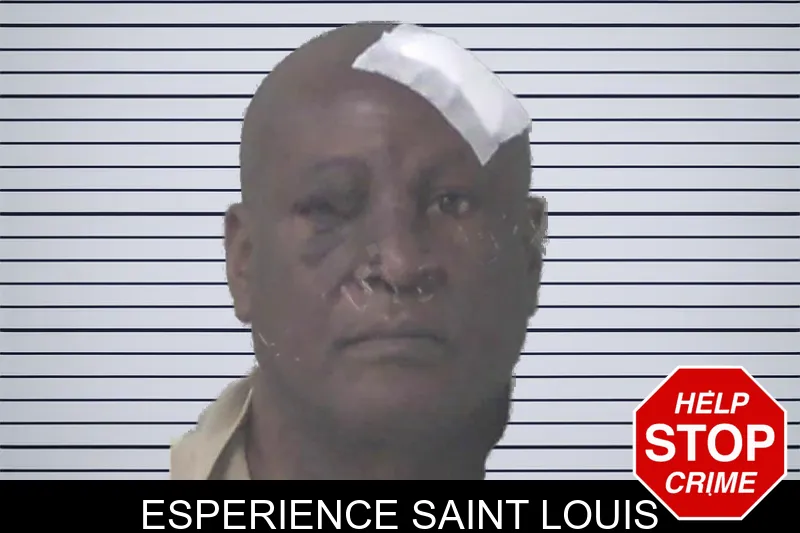 Esperience Saint Louis mugshot