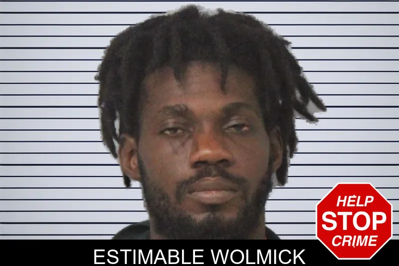 Estimable Wolmick mugshot