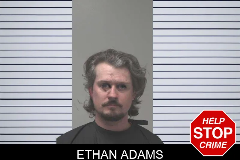 Ethan Adams mugshot – Coweta County , Georgia Ethan Adams mugshot
