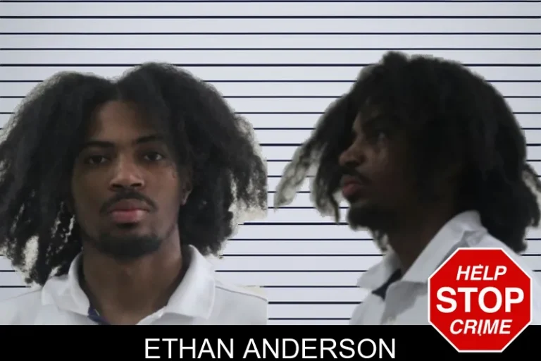 Ethan Anderson mugshot – Houston County , Georgia Ethan Anderson