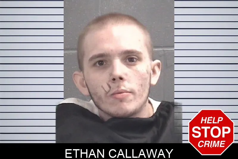 Ethan Callaway mugshot – Spalding County , Georgia Ethan Callaway mugshot