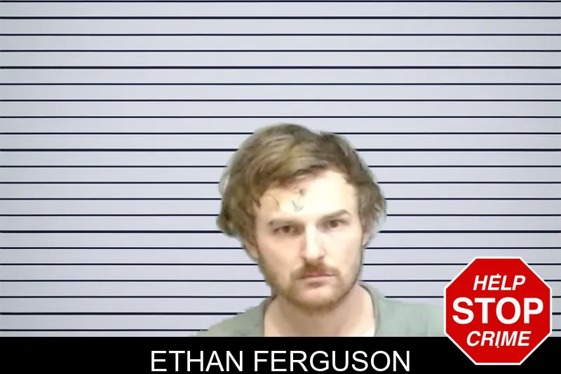 Ethan Ferguson mugshot – Fulton County , Georgia Ethan Ferguson mugshot