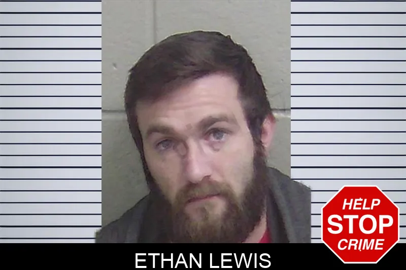 Ethan Lewis mugshot – Wayne County , Georgia Ethan Lewis mugshot