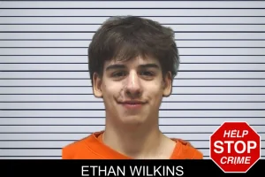 Ethan Wilkins mugshot