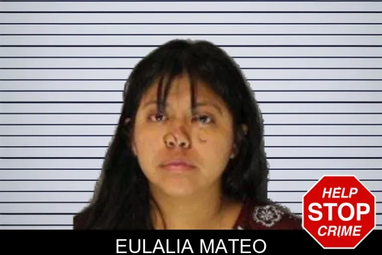 Eulalia Mateo mugshot – Hall County , Georgia Eulalia Mateo