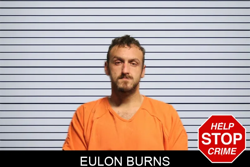 Eulon Burns mugshot