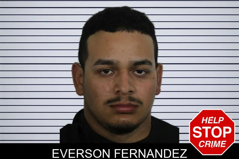 Everson Fernandez mugshot