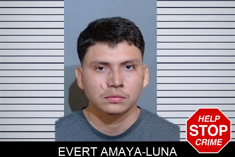 Evert Amaya-Luna mugshot – Glynn County , Georgia Evert Amaya-Luna mugshot