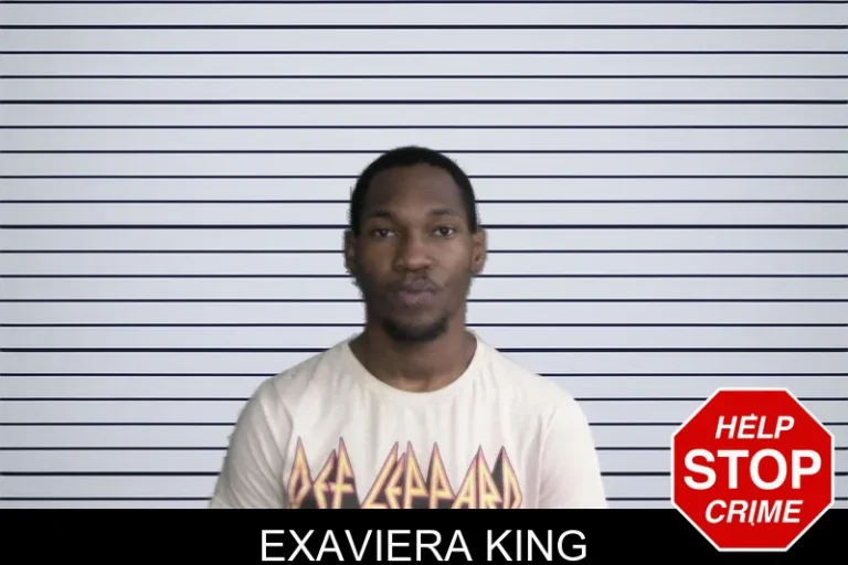 Exaviera King mugshot – Twiggs County , Georgia Exaviera King