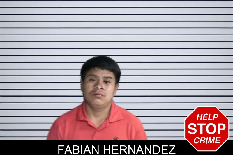 Fabian Hernandez mugshot