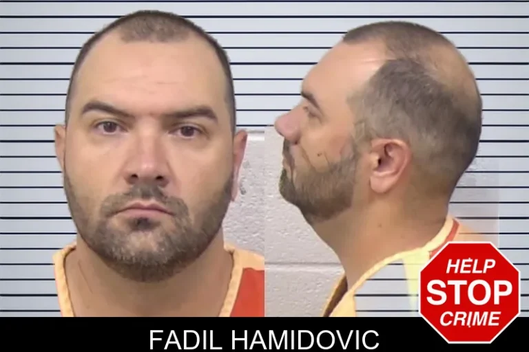 Fadil Hamidovic mugshot β Paulding County , Georgia Fadil Hamidovic