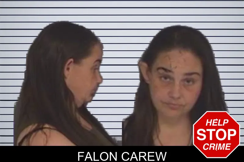 Falon Carew mugshot