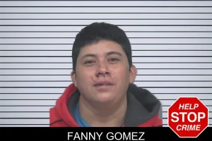 Fanny Gomez mugshot