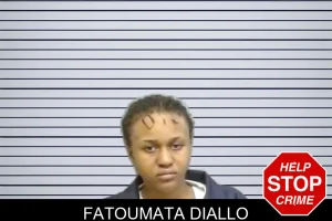 Fatoumata Diallo mugshot
