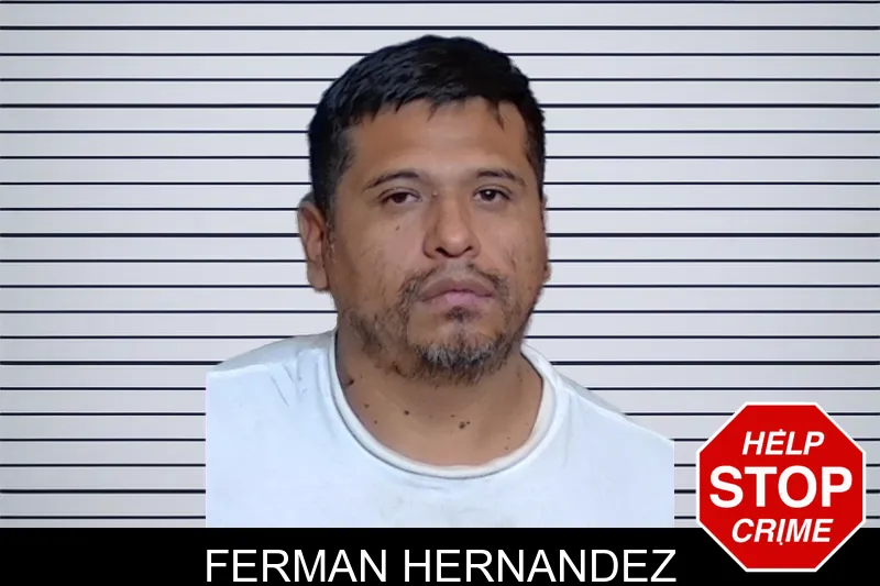 Ferman Hernandez mugshot