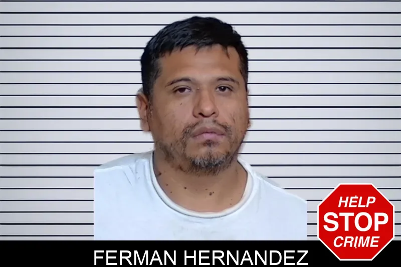 Ferman Hernandez mugshot