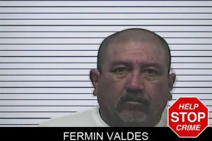 Fermin Valdes mugshot