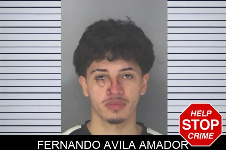 Fernando Avila Amador