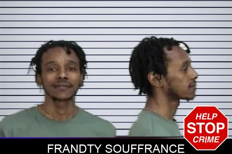 Frandty Souffrance mugshot – Camden County , Georgia Frandty Souffrance
