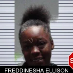 Freddinesha Ellison mugshot
