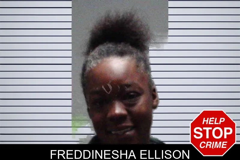 Freddinesha Ellison mugshot
