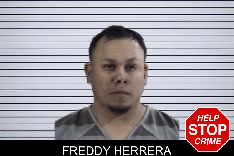 Freddy Herrera mugshot