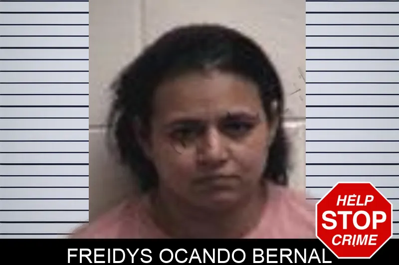 Freidys Ocando Bernal mugshot