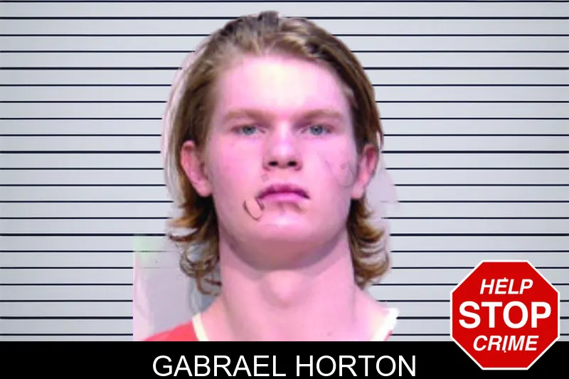 Gabrael Horton mugshot