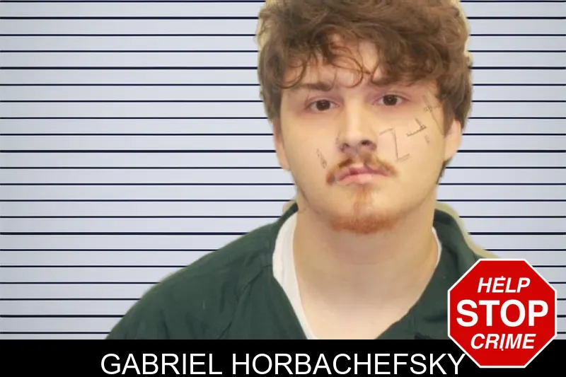 Gabriel Horbachefsky mugshot