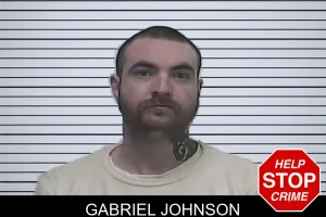Gabriel Johnson mugshot