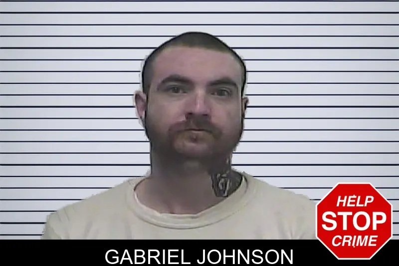 Gabriel Johnson mugshot – Dawson County , Georgia Gabriel Johnson mugshot