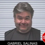 Gabriel Salinas mugshot