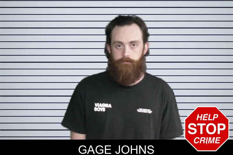 Gage Johns mugshot