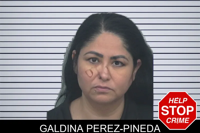 Galdina Perez-Pineda mugshot