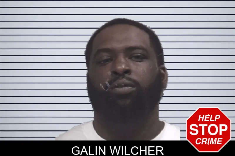 Galin Wilcher mugshot