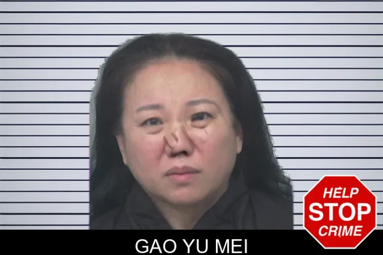 Gao Yu Mei